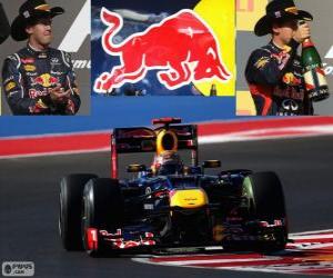 Rompicapo di Sebastian Vettel - Red Bull - Grand Prix di Stati Uniti 2012, 2º classificato