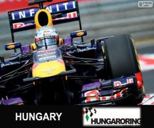 Rompicapo di Sebastian Vettel - Red Bull - Gran Premio d'Ungheria 2013, 3 ° classificato