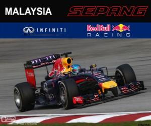 Rompicapo di Sebastian Vettel - Red Bull - Gran Premio della Malesia 2014, 3 ° classificato