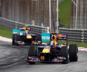 Rompicapo di Sebastian Vettel, Webber Mark - Red Bull - Sepang 2010