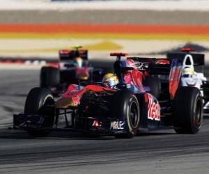 Rompicapo di Sebastien Buemi - Toro Rosso - Bahrain 2010