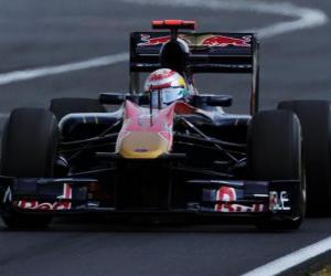 Rompicapo di Sebastien Buemi - Toro Rosso - Hungaroring 2010