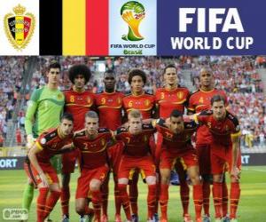 Rompicapo di Selezione del Belgio, Gruppo H, Brasile 2014