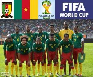 Rompicapo di Selezione del Camerun, Gruppo A, Brasile 2014