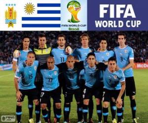 Rompicapo di Selezione di Uruguay, Gruppo D, Brasile 2014