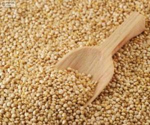 Rompicapo di Semi di quinoa