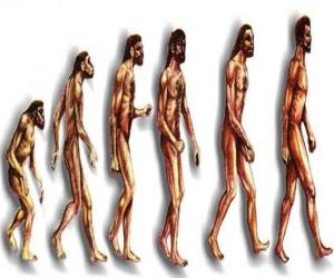 Rompicapo di Sequenza di evoluzione umana da australopithecus Lucy per l'uomo moderno passando tra gli altri da uomini di Heidelberg, Pechino, Neanderthal e Cromagnon