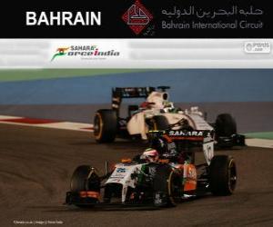 Rompicapo di Sergio Perez - Force India - Gran Premio Bahrain 2014, 3 ° classificato