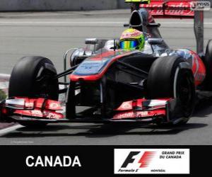 Rompicapo di Sergio Perez - McLaren - circuito Gilles Villeneuve, Montreal, 2013