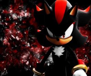 Rompicapo di Shadow è un riccio come Sonic, e il suo rivale