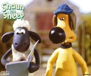 Rompicapo di Shaun e Bitzer