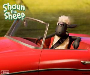 Rompicapo di Shaun guidare una macchina