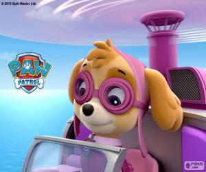 Rompicapo di Skye, Paw Patrol