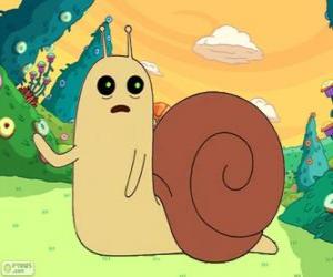 Rompicapo di Snail, la piccola lumaca da Adventure Time