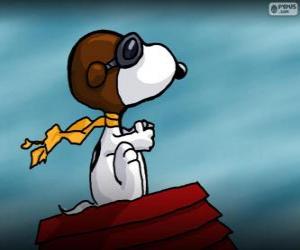 Rompicapo di Snoopy pilota
