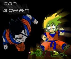 Rompicapo di Son Gohan, il figlio maggiore di Goku, guerriero, mezzo uomo e mezzo Saiyan.