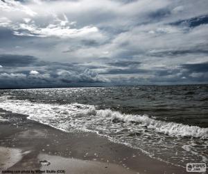 Rompicapo di Spiaggia del mare Baltico