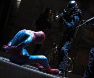 Rompicapo di Spider-Man, catturato dalla polizia