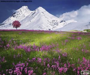 Rompicapo di Splendido scenario delle Alpi