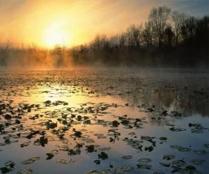 Rompicapo di Stagno paesaggio in Ohio