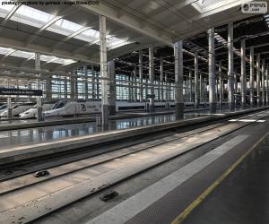 Rompicapo di Stazione di Puerta de Atocha, Madrid