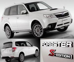 Rompicapo di Subaru Forester S Edition