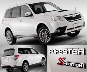 Rompicapo di Subaru Forester S Edition