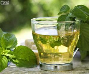Rompicapo di Tazza di tè verde