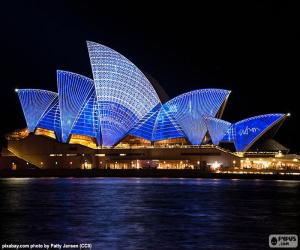 Rompicapo di Teatro Opera di Sydney di notte