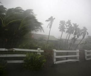 Rompicapo di Tempesta tropicale