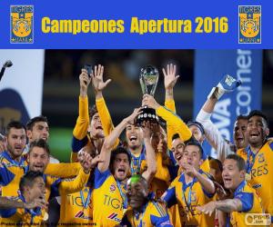 Rompicapo di Tigres UANL, Apertura 2016