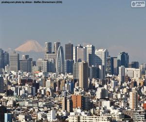 Rompicapo di Tokyo, Giappone