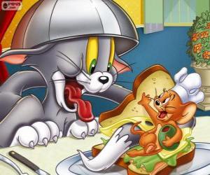 Rompicapo di Tom e Jerry in un altro dei loro conflitti