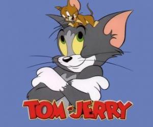 Rompicapo di Tom e Jerry sono i principali protagonisti di divertenti avventure