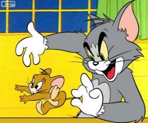 Rompicapo di Tom il gatto catturare il topo Jerry