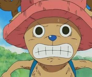 Rompicapo di Tony Tony Chopper è un esperto medico che si trasforma in una creatura antropomorfa