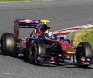 Rompicapo di Toro Rosso STR6 - 2011 -