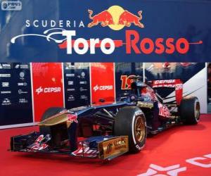 Rompicapo di Toro Rosso STR8 - 2013 -