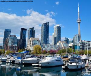 Rompicapo di Toronto, Canada