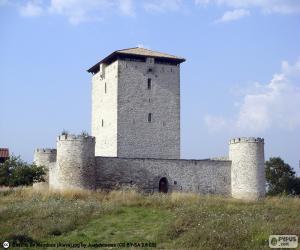 Rompicapo di Torre di Mendoza, Spagna