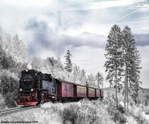 Rompicapo di Treno di inverno