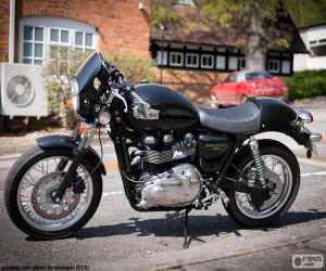 Rompicapo di Triumph Thruxton 900, 2004