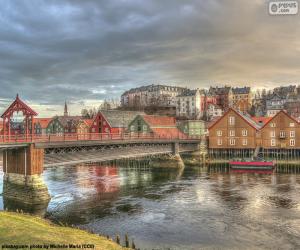 Rompicapo di Trondheim, Norvegia