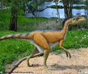 Rompicapo di Troodon