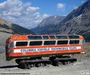 Rompicapo di Un autobus di neve