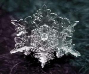 Rompicapo di Un piccolo cristallo di ghiaccio che forma i fiocchi di neve