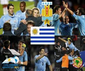 Rompicapo di URU finalist, Copa America 2011