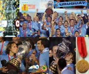 Rompicapo di Uruguay, Campione Copa America 2011