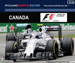 Rompicapo di V. Bottas, G.P del Canada 2016 