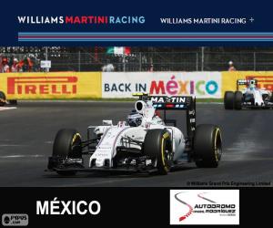 Rompicapo di V. Bottas G.P. Messico 2015